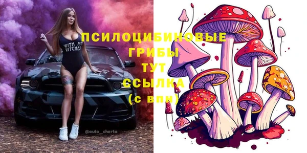 шишки Михайлов