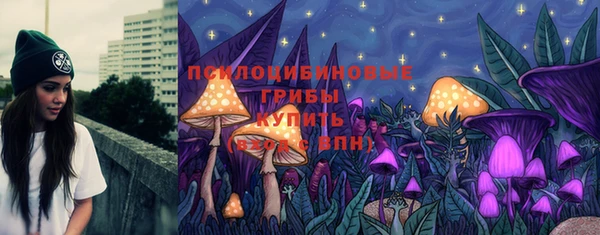 шишки Михайлов