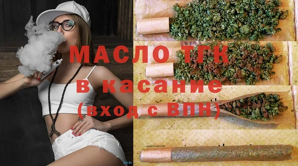 шишки Михайлов