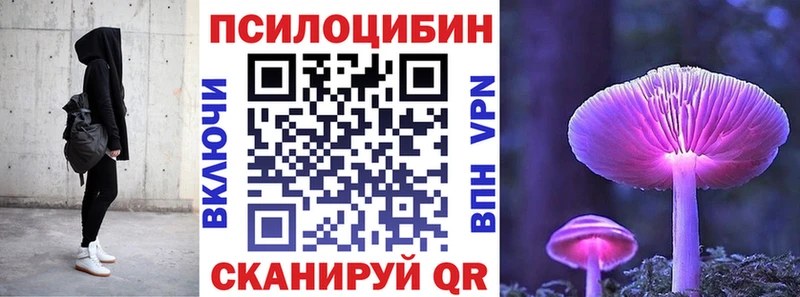 Галлюциногенные грибы Psilocybe  сколько стоит  Оса 